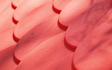 Braichyfedw plastic roof costs