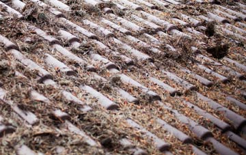 Braichyfedw roof cleaning companies