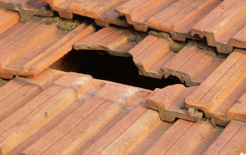 roof repair Braichyfedw, Powys